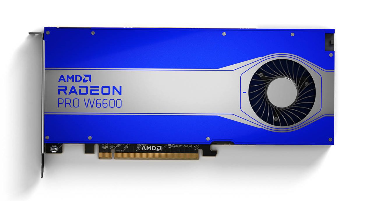 AMD Radeon Pro W6600 with 8 GB GDDR6 memory